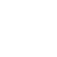 img vision